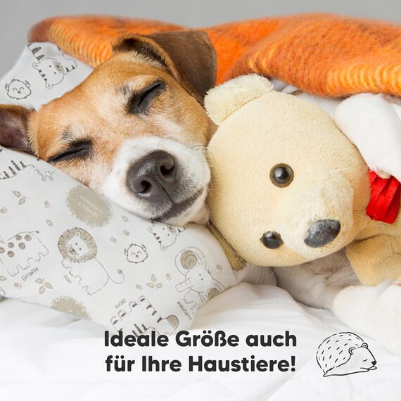 Kopfkissen Kleinkind mit Kissenbezug - Weich Bio Baumwolle Kissen Kinder zum Schlafen - Waschbar Kleinkind Kopfkissen - Kinderkopfkissen für Kleinkinder (KeaSafari)