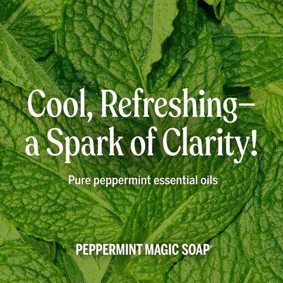 Dr Bronner - flüssige Pfefferminzseife 237ml