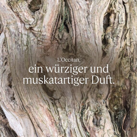 L'OCCITANE - Duschgel Körper und Haar L‘Occitan - 250 ml - In Frankreich hergestellt