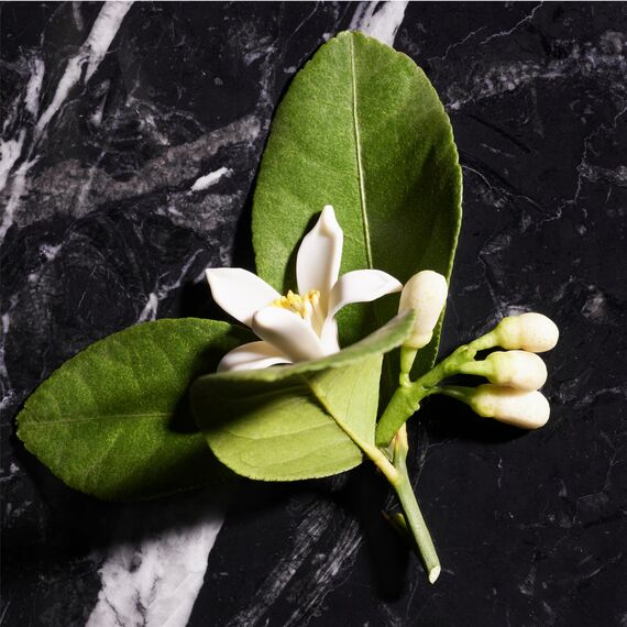 JOOP! HOMME Deo Spray 75ml