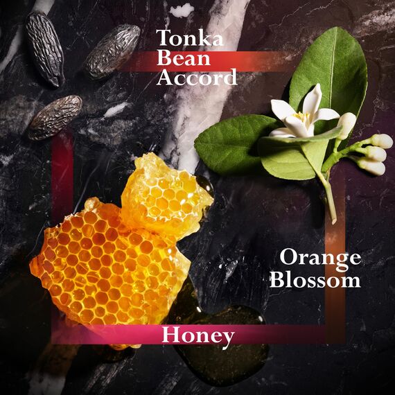 JOOP! HOMME Deo Spray 75ml