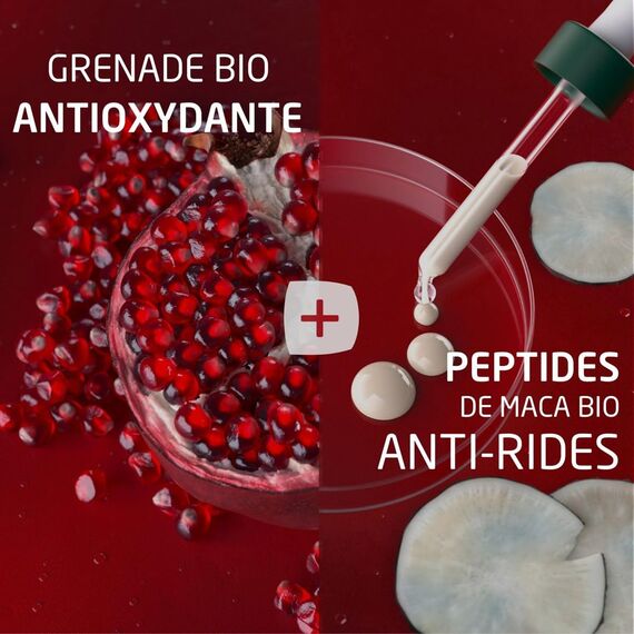 WELEDA Bio Granatapfel Straffende Augenpflege, Naturkosmetik Augencreme schützt vor Umwelteinflüssen, mindert Falten und strafft die feine Haut um die Augen für Männer und Frauen (1 x 10 ml)