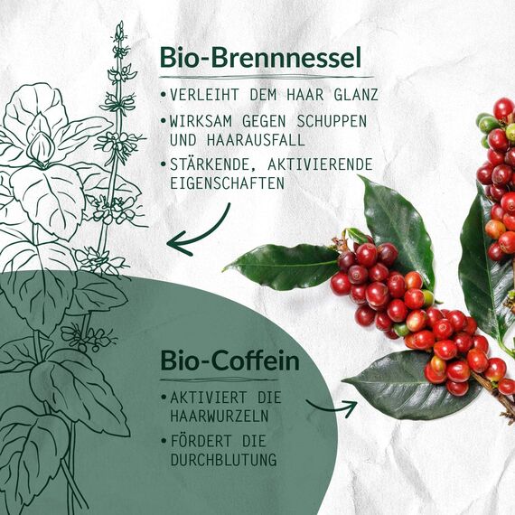 LOGONA Naturkosmetik Vitalisierendes Shampoo für natürlich kräftiges Haar, Geeignet für energieloses, dünner werdendes Haar, Age Energy Haarshampoo mit veganer Formel aus Bio Coffein, 1 x 250 ml