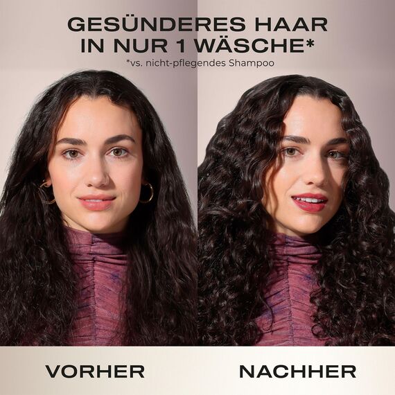 OGX Coconut Milk Shampoo 385 ml, feuchtigkeitsspendendes Haarshampoo mit Rizinusöl und Kokosöl für geschmeidiges, glattes und glänzendes Haar mit LipiPro Shield Technologie