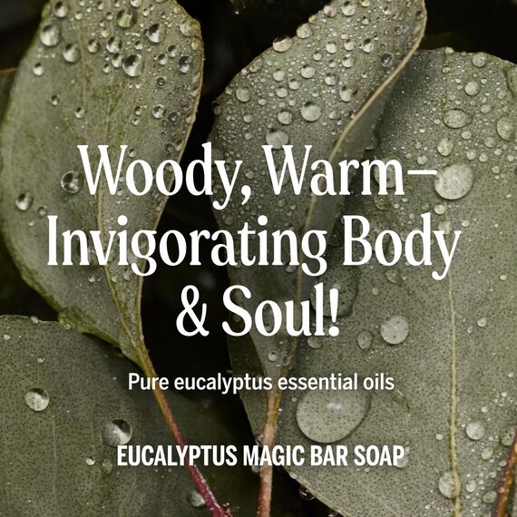 Dr. Bronner Bio pur Kastilien Eucalyptus Seife, 5 oz - 2 Bars