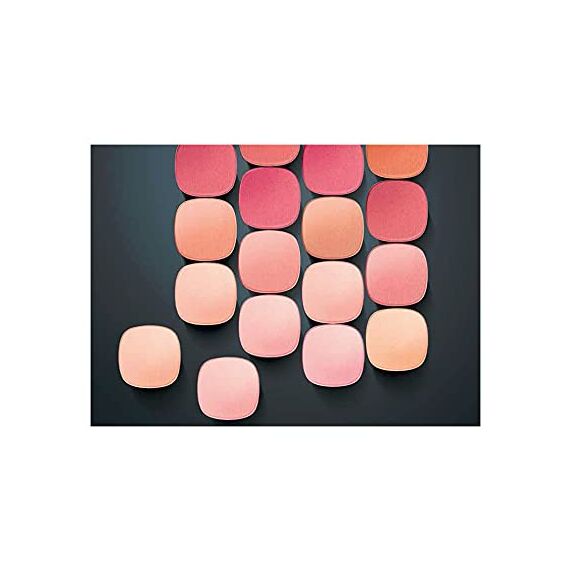 L'Oréal Paris Perfect Match Blush Rose Nr. 165 Bonne Mine, 5 g)