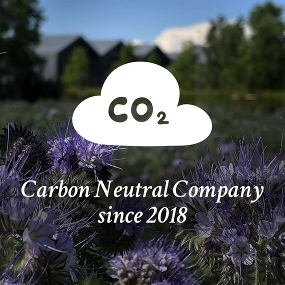 kiddimoto Davines OI All In One Milk für alle Haartypen, 135ml