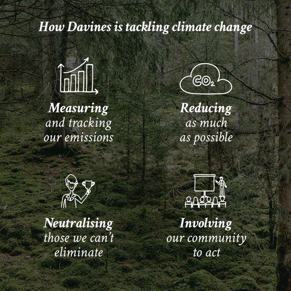 DAVINES OI Shampoo, 1er Pack (1 x 280 ml)