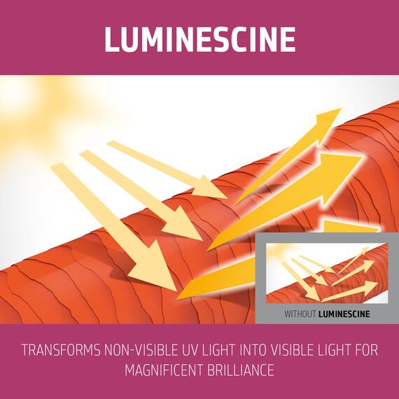 Goldwell Dualsenses Color Extra Rich Brilliance Shampoo, 1er Pack (1 x 1 l)