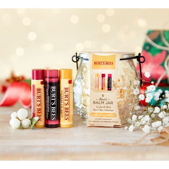 Burt's Bees Balm Jar (Lippenbalsam Glas, für alle Lippentypen) 500578