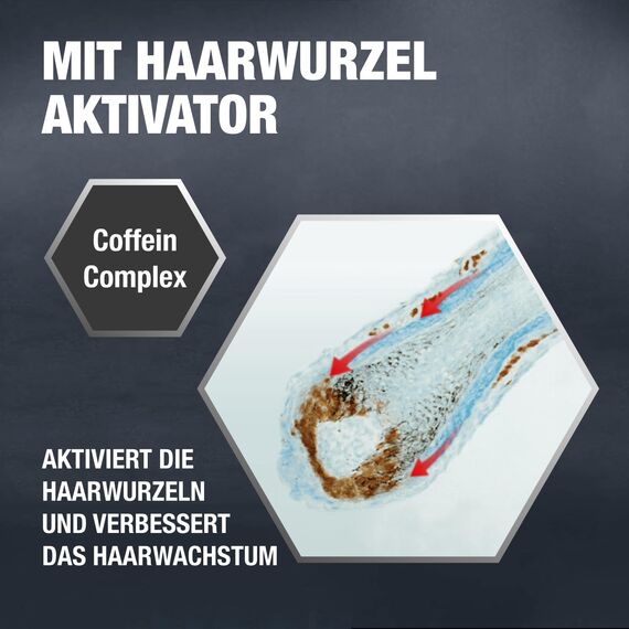 Alpecin Coffein-Shampoo C1, 2 x 250 ml - Haarwachstum stimulierendes Haarshampoo gegen erblich bedingten Haarausfall bei Männern - Zur Verbesserung des Haarwachstums