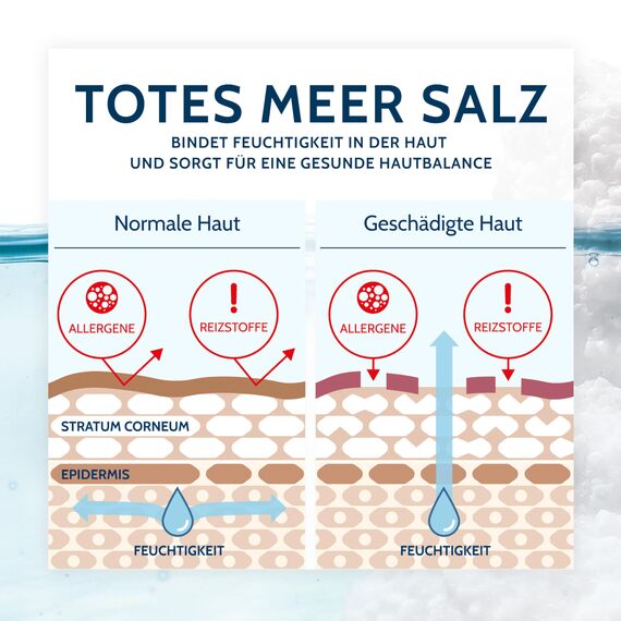 Salthouse Totes Meer Männer 3in1 Duschgel Sensitiv, mit Algenextrakten, für sensible Männerhaut, 250 ml