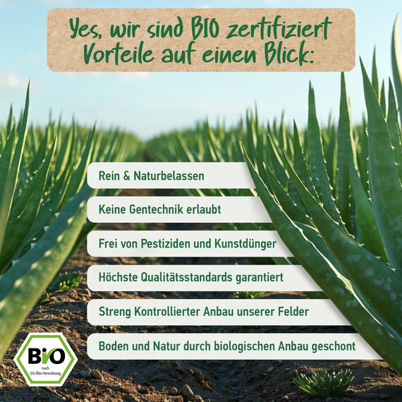 BIO HYALURON CREME +Q10 | Hyaluronsäure Hochdosiert | 4-Fach Anti-Falten -100ml | Tages- & Nachtcreme | Hyaluronsäure Creme - Feuchtigkeitscreme - Hyaluron Creme Gesicht | Anti Aging Gesichtscreme