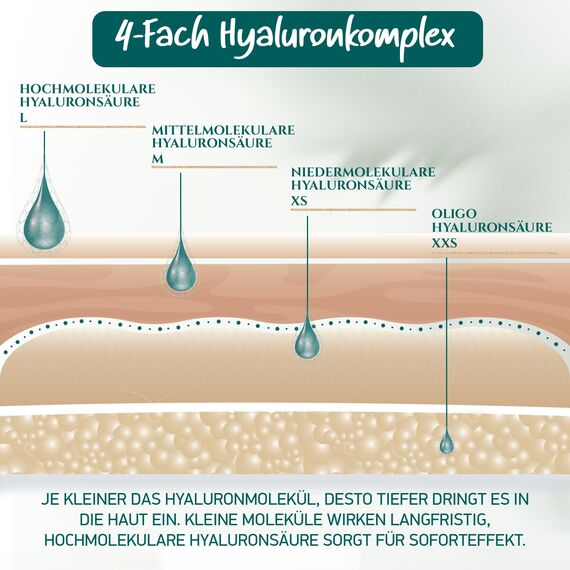 Bio Hyaluron Serum Hochdosiert - Beste Hyaluronsäure (Oligo) - 8-Fach Anti-Falten-Komplex- Mit 4 Hyalurongrößen - Frei von Alkohol & Parfüm 100ml - Hyaluronsäure Serum Made in Germany.