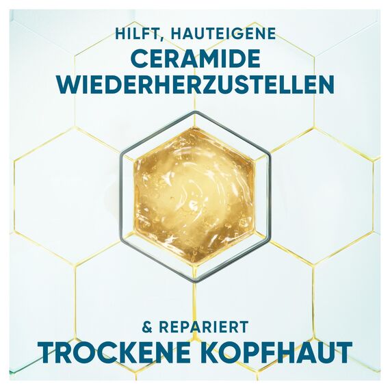 Head & Shoulders DermaXPro Pflegende Feuchtigkeit Anti-Schuppen-Shampoo 500 ml mit Kokosöl und Ceramide-Komplex, 72H Feuchtigkeit für Trockene Kopfhaut