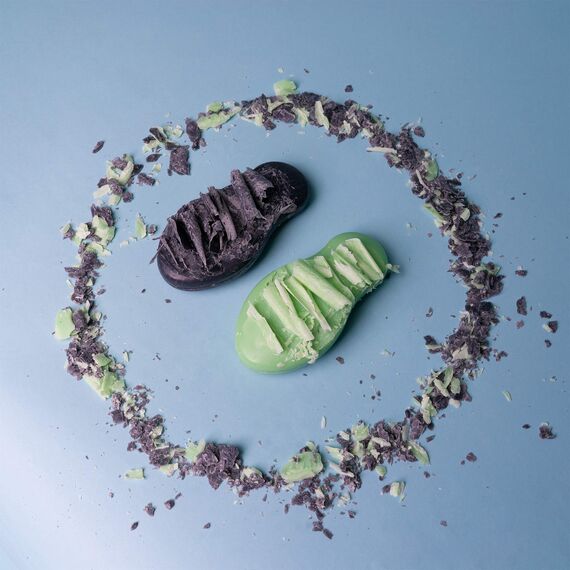 Foamie Feste Gesichtsreinigung Unreine Haut mit Klärender Aktivkohle & Teebaumöl, Gesichtspflege mit Peeling-Effekt, Gesichtspeeling 100% Vegan, Plastikfrei, 60g