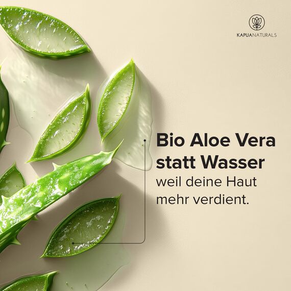 BIO Hyaluron Creme Gesicht hochdosiert 100ml + Arganöl + Aloe Vera + Kokosöl • 100% Vegan & BIO • Naturkosmetik Made in Germany ✓ Anti Falten Creme ✓ Feuchtigkeitscreme Anti-Aging Tages- &Nachtcreme