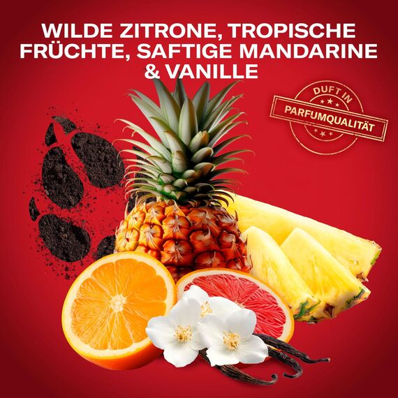 Old Spice Wolfthorn Deostick für Männer 50 ml, 24/7 Frischhh bei täglicher Anwendung, langanhaltender Duft in Parfumqualität, Schutz vor Gerüchen, Ohne Aluminiumsalze, unsichtbar auf Schwarz und Weiß