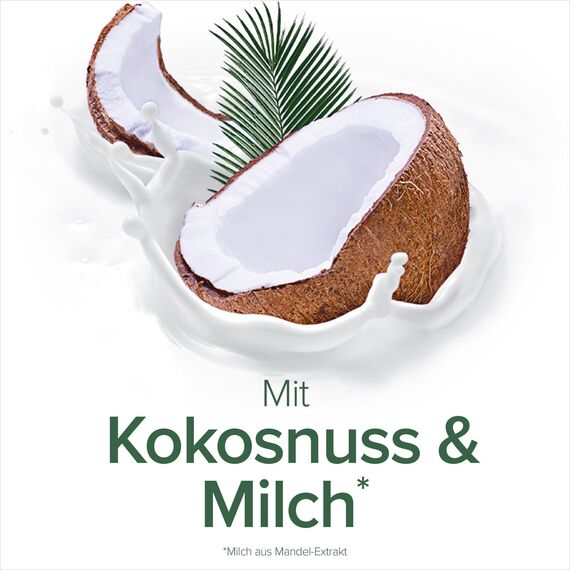 Palmolive Duschgel Naturals Kokosnuss & Milch 6x250ml - Cremedusche mit Feuchtigkeitsmilch und Kokos-Duft