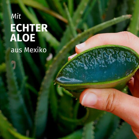 Herbal Essences Feuchtigkeits Spülung mit Aloe und Jasminduft 250ml. Von sehr trockenem zu glänzenden Haar, Mit Inhaltsstoffen natürlichen Ursprungs, Vegan