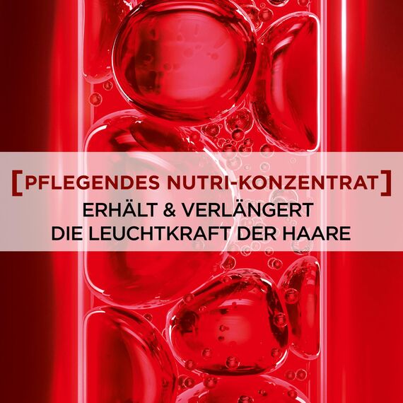 L'Oréal Paris Elvital Shampoo Nachfüllpack, Haarshampoo für coloriertes, getöntes oder gesträhntes Haar, Color Glanz, 1 x 500ml