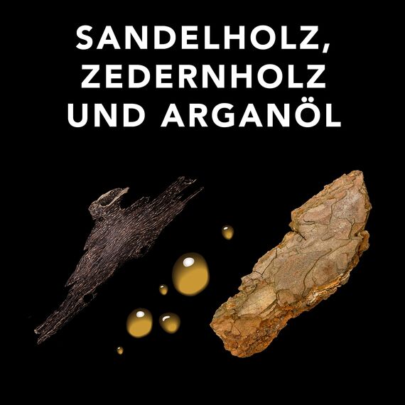 SEBASTIAN PROFESSIONAL DARK OIL – Schwereloses Styling-Öl für Glanz und Definition – mit Jojoba- und Arganöl – für alle Haartypen – 95 ml