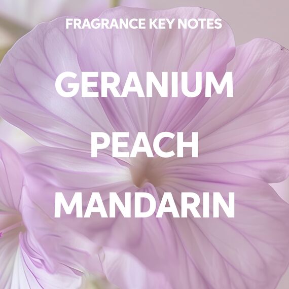 Wella Professionals Elements Renewing Mask – reparierende Haarmaske für trockenes und kaputtes Haar – Haarkur mit Antioxidantien und Olivenessenz für Glanz und Geschmeidigkeit – Nachfüllpack 500 ml