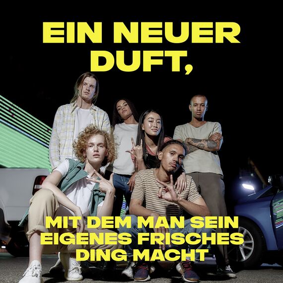 Axe 3-in-1 Duschgel & Shampoo Fresh Alman Style für langanhaltende Frische und Duft Limited Edition 250 ml, 1 Stück