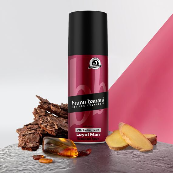 Bruno Banani Fragrance Loyal Man Deo Bodyspray, Körperspray mit aromatisch holzigem Herrenduft, 24 Stunde lang anhaltend, 150 ml (1er Pack)