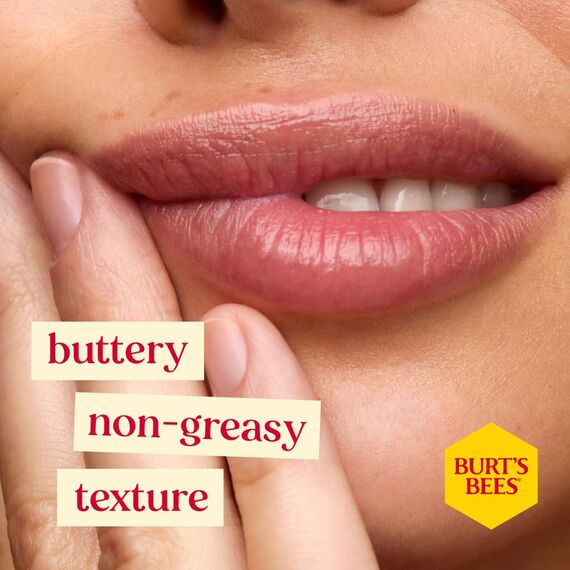 Burt's Bees Lippenbalsam-Multipack | Geschenkset mit Bienenwachs und Vitamin E | 100 % natürlicher Ursprung | Bienenwachs, Vanillebohne, Gurke-Minze, Kokosnuss und Birne | 4 x 4,25 g