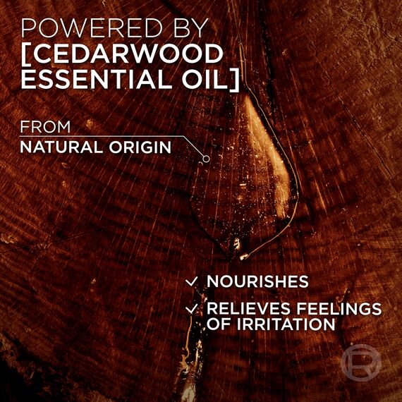 L'Oréal Men Expert XXL 3-in-1 Bartshampoo für Männer, Für Bart, Gesicht und Haar, Beruhigende Bartpflege für Männer gegen Schuppen mit Zedernholzöl, Barber Club, 1 x 400 ml