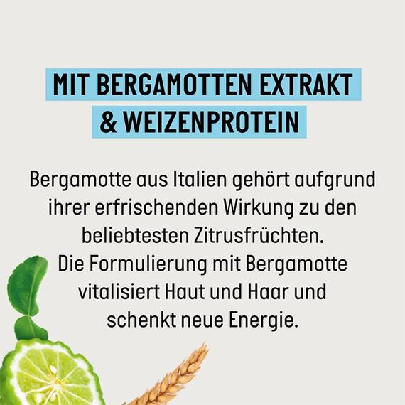 Guhl Men 3 in 1 Frische & Pflege Shampoo - Inhalt: 250 ml - Für Haar, Körper und Gesicht - Haartyp: normal