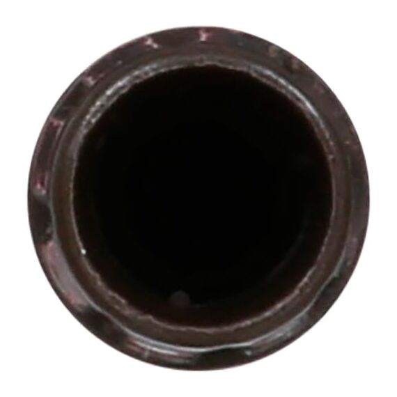 Burt's Bees Lip Shimmer for Women, Rhubarb, 0.09 Ounce (Packung mit 2)