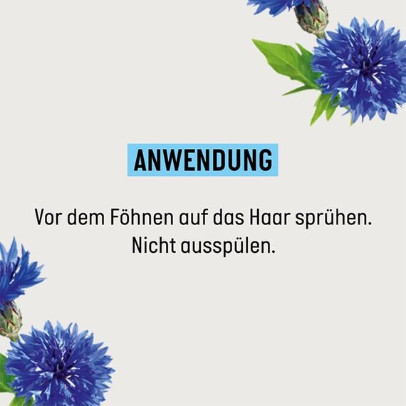 Guhl Föhn-Aktiv Styling Spray - Inhalt: 150 Ml - Aus Der Langzeit Volumen Serie - Haartyp: Fein, Kraftlos Oder Platt - Dermatologisch Bestätigt