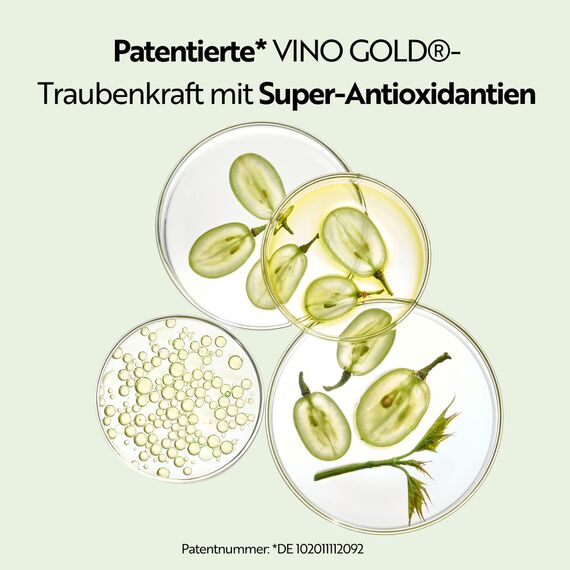 M. Asam VINO GOLD 24h Gesichtscreme (100 ml) – 24h Tagescreme & Nachtcreme Gegen Linien & Fältchen, Schutz Vor Vorzeitiger Hautalterung, Anti-Aging, Vegane Gesichtspflege