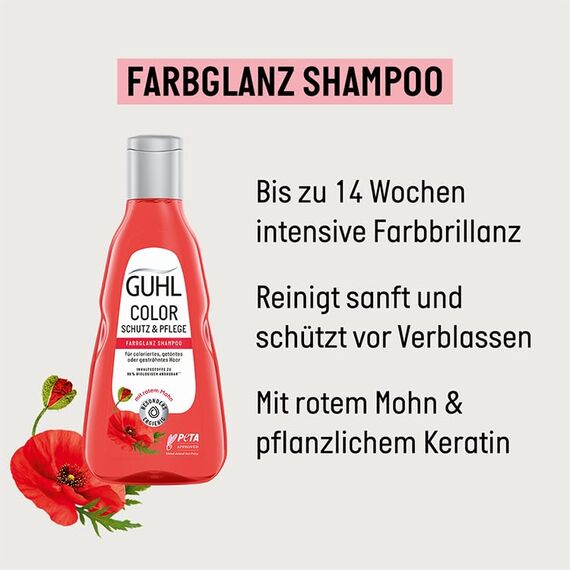 Bundle aus Guhl Color Schutz & Pflege Shampoo - Inhalt: 250 ml + Guhl Color Schutz & Pflege Spülung- Inhalt: 200 ml - Haartyp: coloriert - Farbglanz