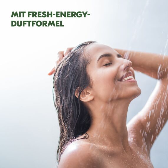 Duschdas Duschgel Limette Minze Nachfüllbeutel Duschbad mit Fresh-Energy-Duftformel sorgt für einen erfrischenden Start in den Tag 500 ml 1 Stück