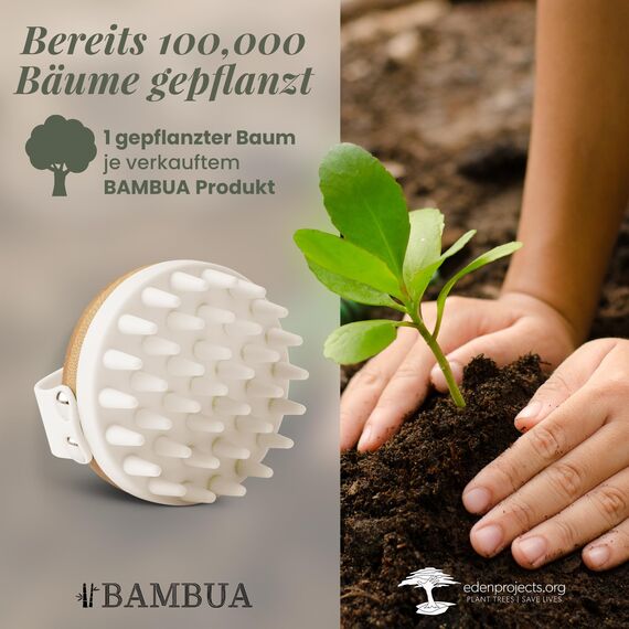 BAMBUA Kopfhaut Massagebürste - (Anti-Schuppen Effekt) Kopfmassage Bürste - Zur Kopfmassage beim Duschen - Premium Scalp Massager - Utensilienset Massage inkl. E-Book „Gesunde Kopfhaut“ (Weiß)