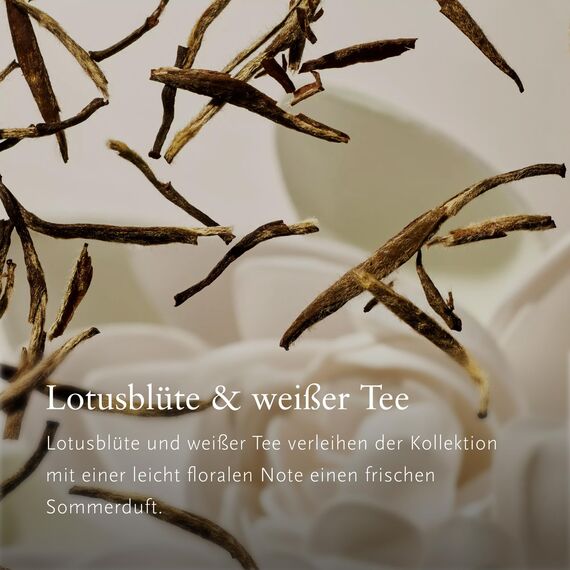 The Ritual of Karma Shower Foam Value Pack