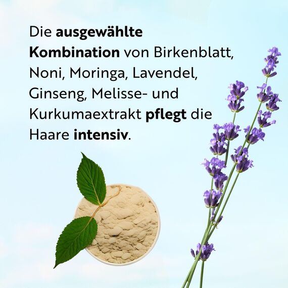 ahuhu HAWAIIAN HERBS 7-Kräuter Shampoo XXL (500 ml) - Mildes Pflegeshampoo Mit Natürlichen Kräuterextrakten, Für Gesunde Haare & Eine Ausgeglichene Kopfhaut, Vegan