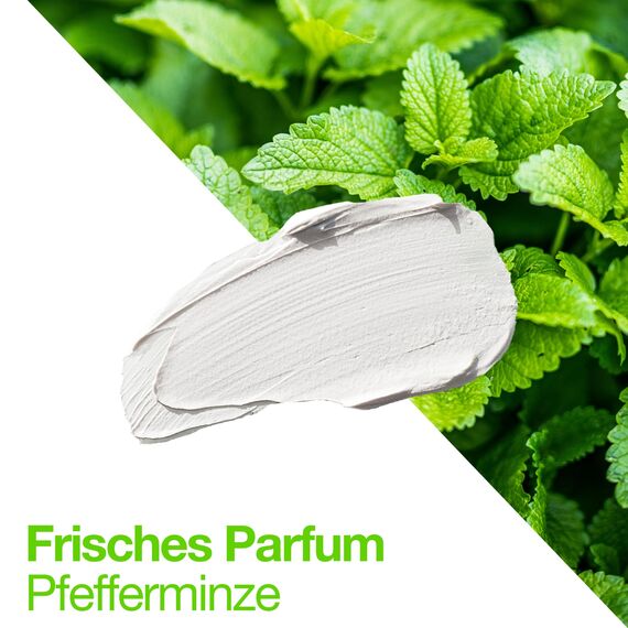 Sapiens Barbershop Haarwachs Männer Bio - Starker Halt 4/5 Matt-Effekt - Haarwachs Matt auf Basis von BIO Zucker - Menthol-Duftstoffe - Professionelle Haarstyling Produkte Made in France - 80 ml