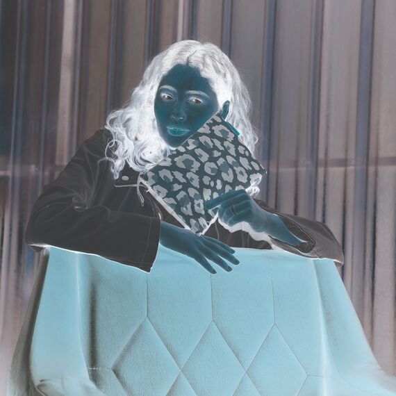 reisenthel case 1 Leo Macchiato - universeller Kleiner Organizer für Kosmetik oder kleine Handtaschenartikel