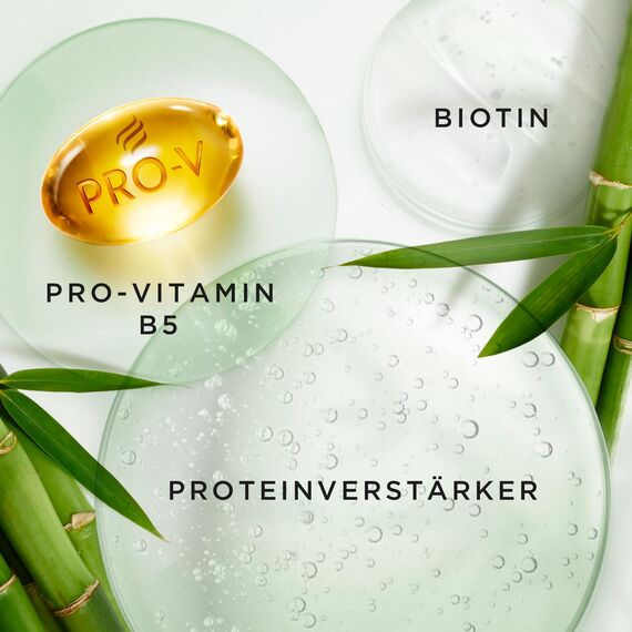 Pantene Pro-V Grow Strong Shampoo mit Biotin & Proteinverstärker 1000ml Pumpespender. Pro-V Miracles Shampoo Hilft, Haarverlust, durch Haarbruch zu Reduzieren, Stärker Wachsendes Haar. Trockenes Haar