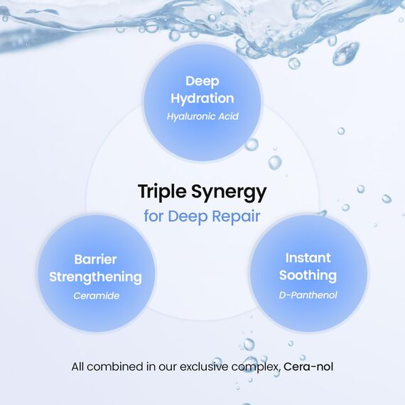 BIODANCE Hydro Cera-nol Real Deep Maske, Overnight Hydrogel Maske, beruhigend, feuchtigkeitsspendend, nahrhaft, 34g x 4 St.