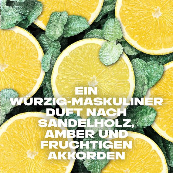 Axe 3-in-1 Duschgel & Shampoo Ice Chill für langanhaltende Frische und Duft nach der Dusche dermatologisch getestet 250 ml (Packung mit 5)