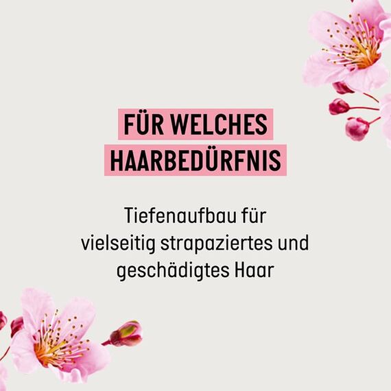 Guhl Tiefen Aufbau Shampoo - Inhalt: 250 ml - Reparatur für geschädigtes Haar (Packung mit 2)