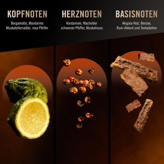 bruno banani Magnetic Man Shower Gel, 3-in-1-Duschgel mit fesselnd-holziger Ambernote, 250ml (Packung mit 5)