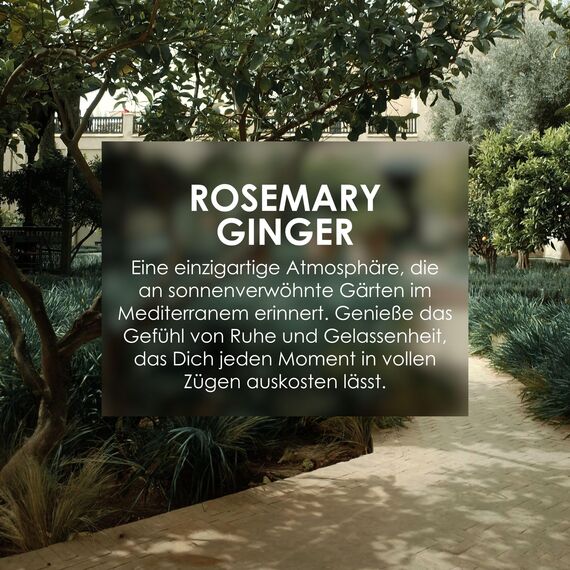 Jean & Len Feuchtigkeit Shampoo Rosemary & Ginger, für trockenes und sprödes Haar, mit Feuchtigkeitskomplex, würzig-frischer Duft von Rosmarin & Ingwer, ohne Parabene und Silikone, 300 ml