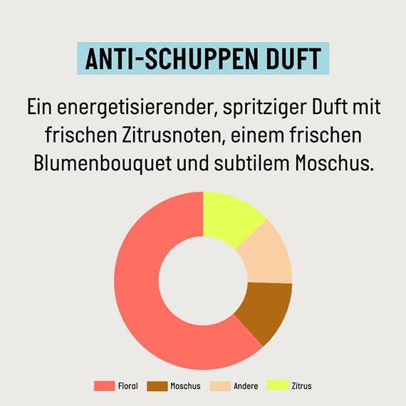 Guhl Anti-Schuppen Shampoo - Inhalt: 250 ml - Befreit effektiv von - Haartyp: juckende Kopfhaut - Dermatologisch bestätigt - für Damen und Herren (Packung mit 2)
