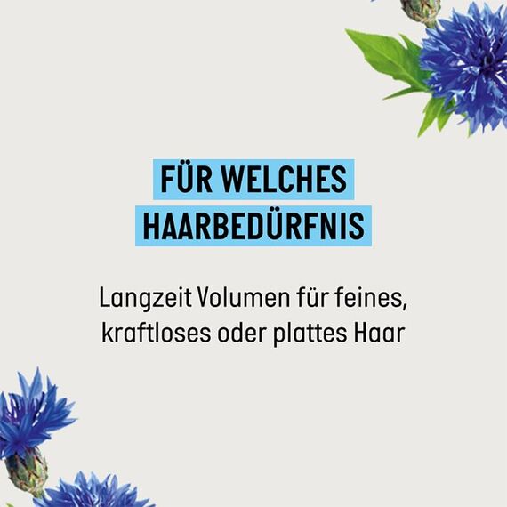 Guhl Langzeit Volumen Shampoo - Inhalt: 250 ml - Volumen und Fülle für feines Haar (Packung mit 2)